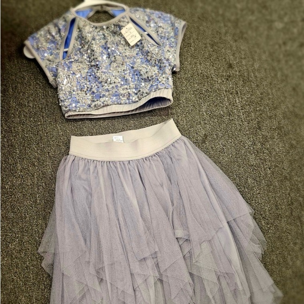 Silver Layered Tulle Skirt 2 piece costume
